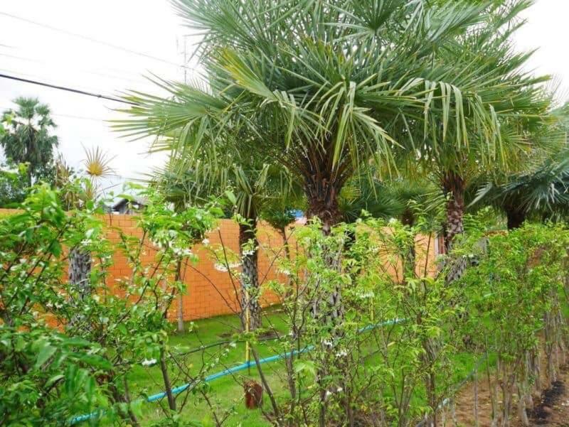 Tinna Resort Ban Nong Mai Ngam Buitenkant foto